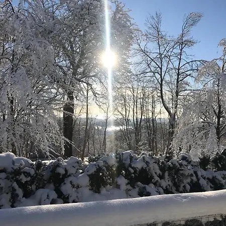 Panorama Hohegeiss Sport Und Erholung Im Harz Διαμέρισμα